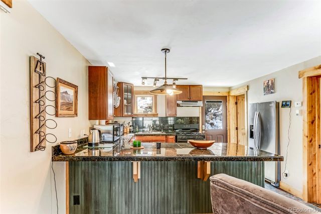 29 S Oak Street, Alma, CO 80420