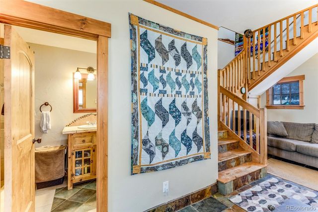 29 S Oak Street, Alma, CO 80420