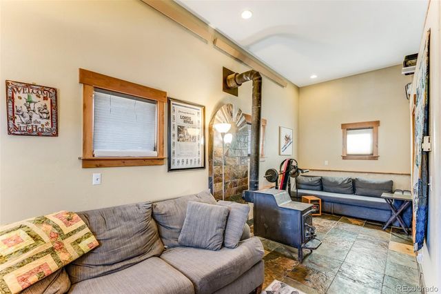 29 S Oak Street, Alma, CO 80420