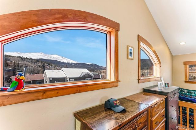 29 S Oak Street, Alma, CO 80420