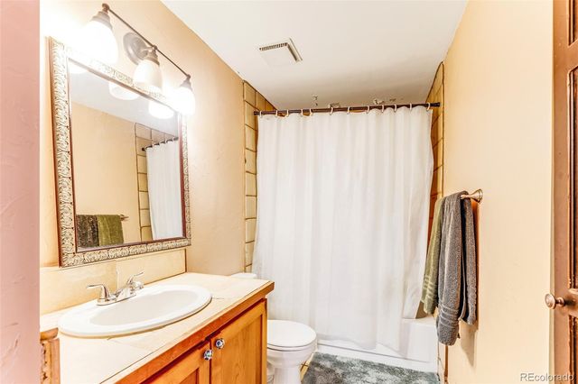 29 S Oak Street, Alma, CO 80420