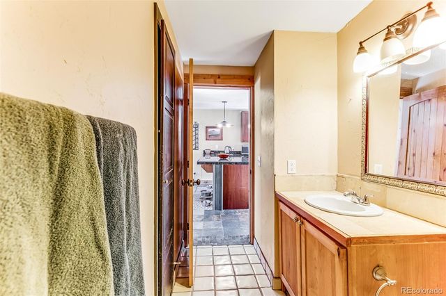 29 S Oak Street, Alma, CO 80420