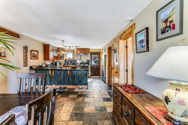 29 S Oak Street, Alma, CO 80420