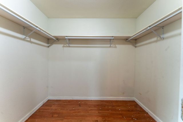 1502 Adelaide Drive, Dallas, TX 75216