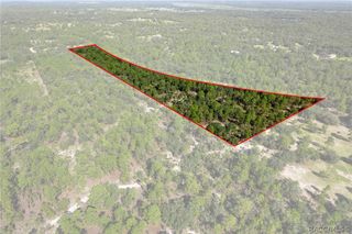 10806 N Statue Point, Dunnellon, FL 34433