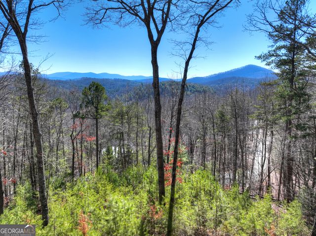 78 Brass Hill Road, Blue Ridge, GA 30513