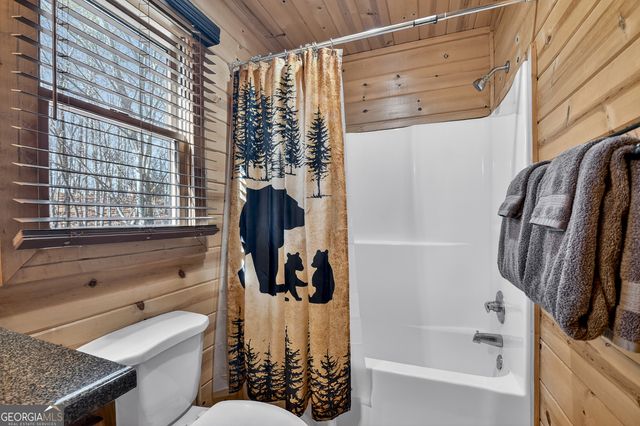 78 Brass Hill Road, Blue Ridge, GA 30513