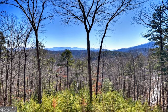 78 Brass Hill Road, Blue Ridge, GA 30513