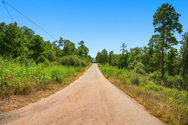 114 Pinedale DR, Bastrop, TX 78602