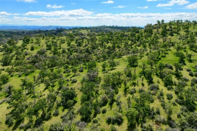 42625 Red Top Mountain Court, Coarsegold, CA 93614