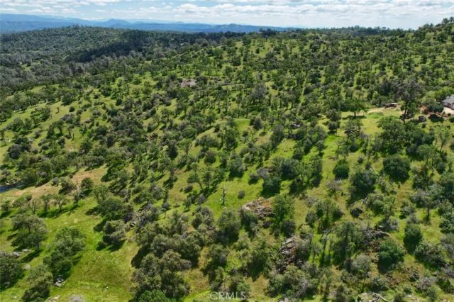42625 Red Top Mountain Court, Coarsegold, CA 93614