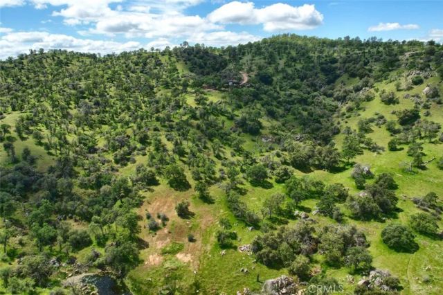 42625 Red Top Mountain Court, Coarsegold, CA 93614