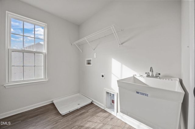 325 Amber Acorn Avenue, Raleigh, NC 27603