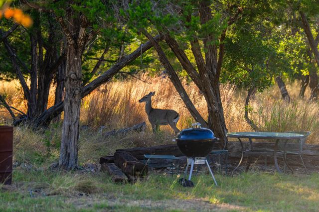 716 Reeh Weinheimer RD, Fredericksburg, TX 78624