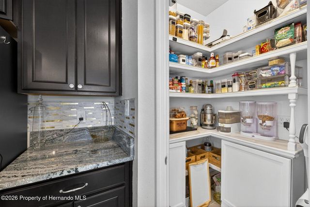 13504 Golden Lime Avenue, Spring Hill, FL 34609
