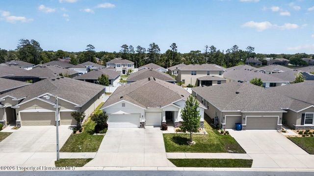 13504 Golden Lime Avenue, Spring Hill, FL 34609