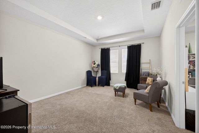 13504 Golden Lime Avenue, Spring Hill, FL 34609