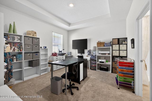 13504 Golden Lime Avenue, Spring Hill, FL 34609