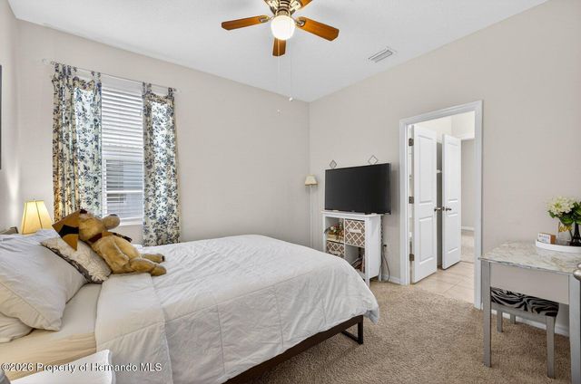 13504 Golden Lime Avenue, Spring Hill, FL 34609