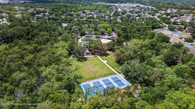 13504 Golden Lime Avenue, Spring Hill, FL 34609