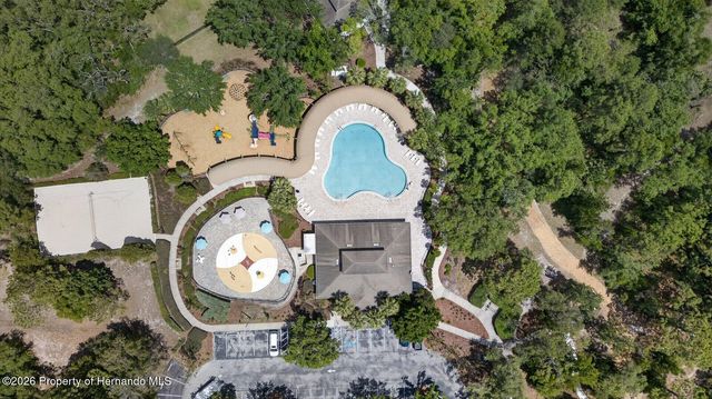 13504 Golden Lime Avenue, Spring Hill, FL 34609
