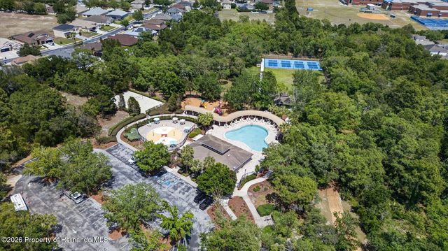 13504 Golden Lime Avenue, Spring Hill, FL 34609