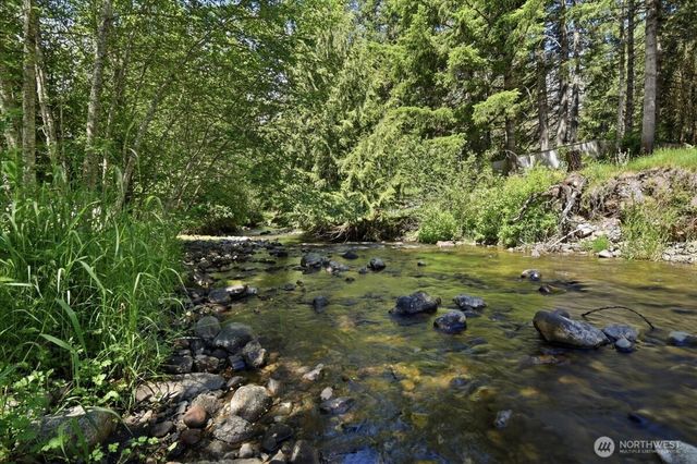 116 Mountain View Drive N, Ashford, WA 98304