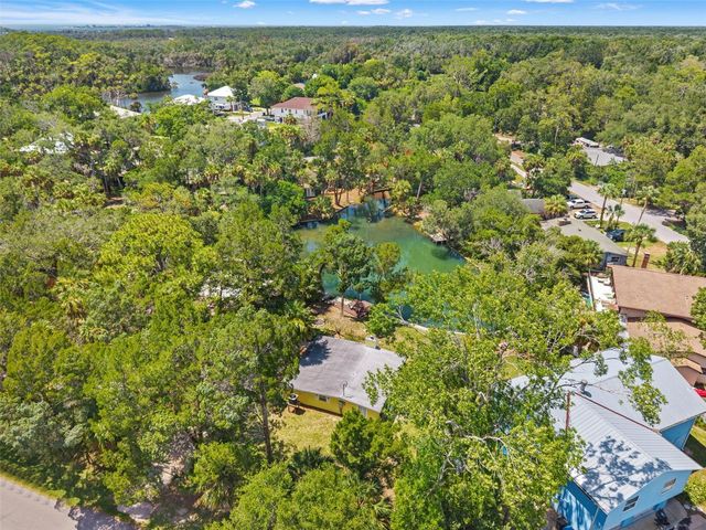 6053 PALM CREEK DRIVE, Weeki Wachee, FL 34607