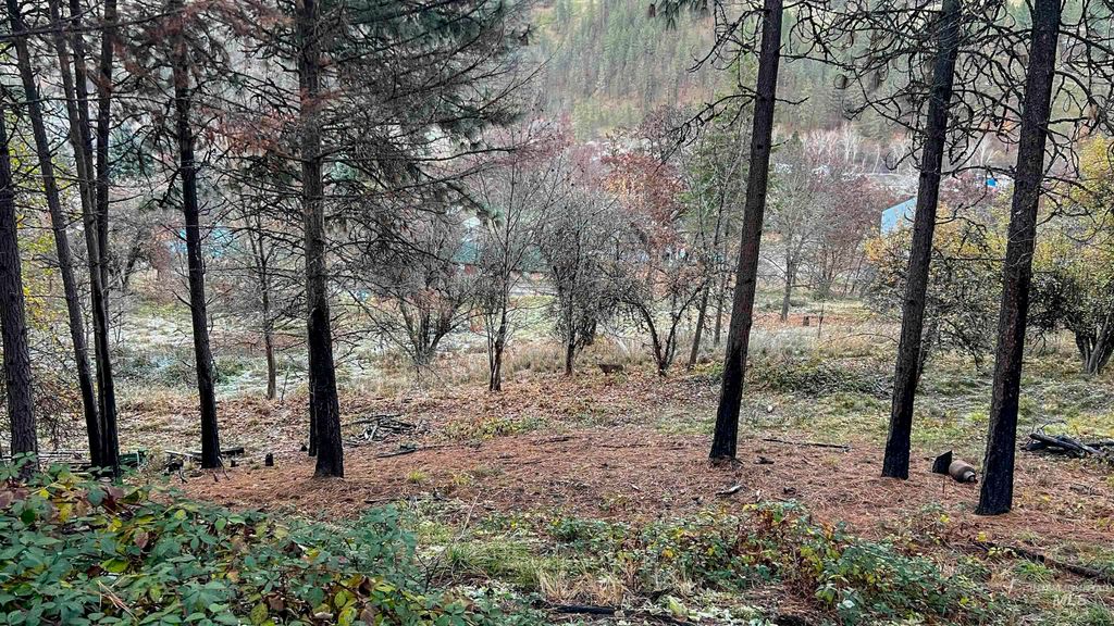 TBD May St Blk 56, Lot 9, Peck, ID 83545 photo 11