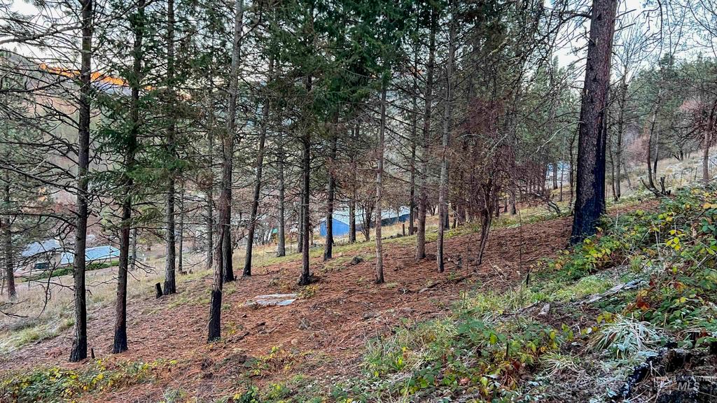 TBD May St Blk 56, Lot 9, Peck, ID 83545 photo 13