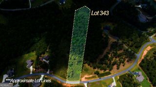 LOT 343 Loop Lane, Blairsville, GA 30512