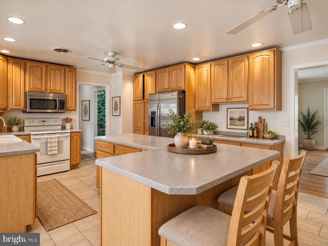 10541 SHADY DR, Berlin, MD 21811