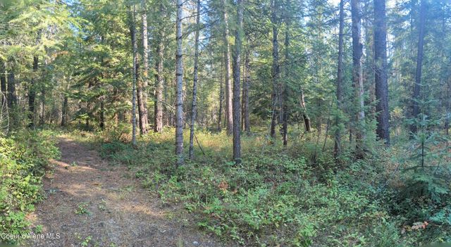 1555 E OHIO MATCH RD, Rathdrum, ID 83858