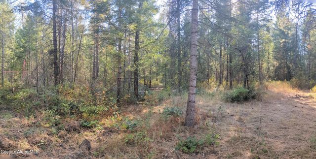 1555 E OHIO MATCH RD, Rathdrum, ID 83858