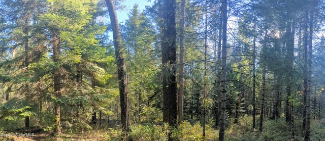 1555 E OHIO MATCH RD, Rathdrum, ID 83858
