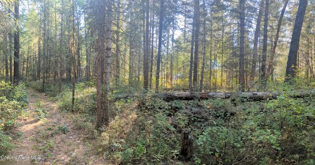 1555 E OHIO MATCH RD, Rathdrum, ID 83858