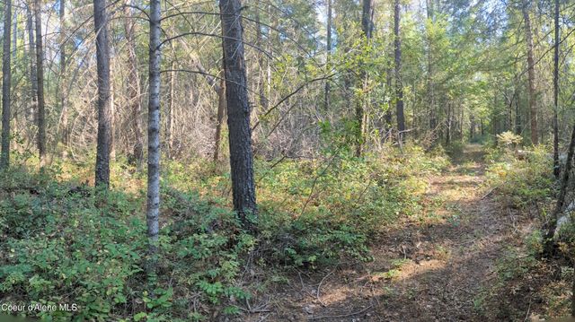 1555 E OHIO MATCH RD, Rathdrum, ID 83858