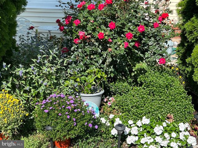 2409 WOODRIDGE RD, Baltimore, MD 21219