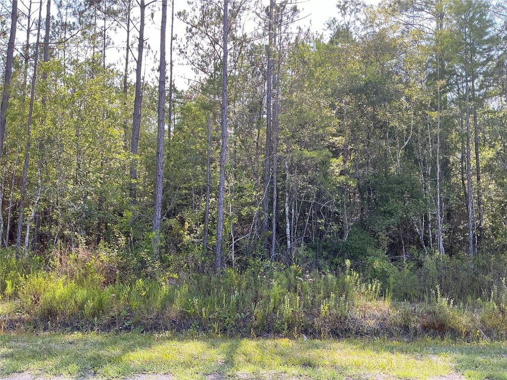 0 CROTTY AVENUE 1, Hastings, FL 32145