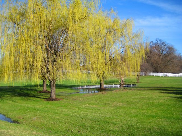 36537 N Fox Hill Drive, Wadsworth, IL 60083