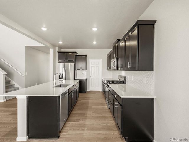 1625 Yampa River Dr, Windsor, CO 80550