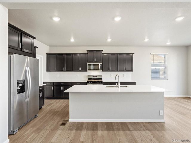 1625 Yampa River Dr, Windsor, CO 80550