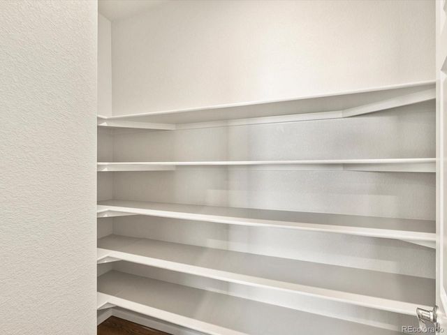 1625 Yampa River Dr, Windsor, CO 80550