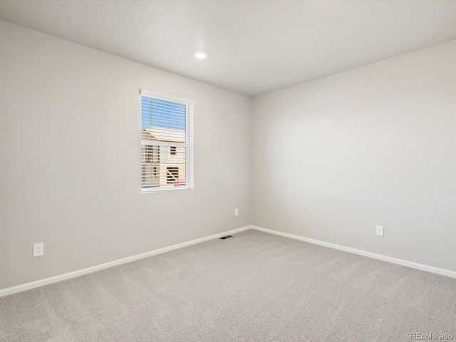 1625 Yampa River Dr, Windsor, CO 80550