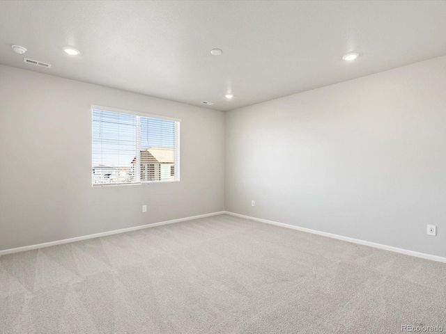 1625 Yampa River Dr, Windsor, CO 80550