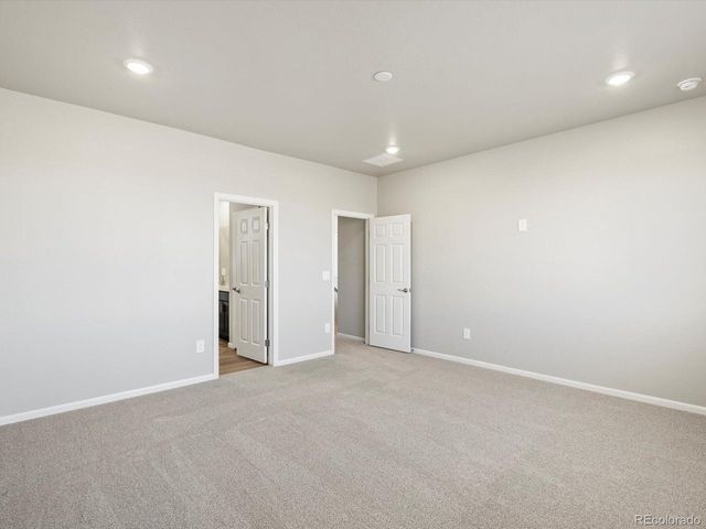 1625 Yampa River Dr, Windsor, CO 80550