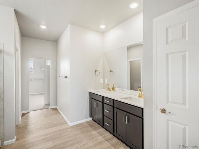 1625 Yampa River Dr, Windsor, CO 80550