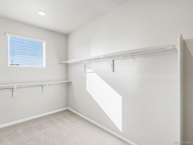 1625 Yampa River Dr, Windsor, CO 80550