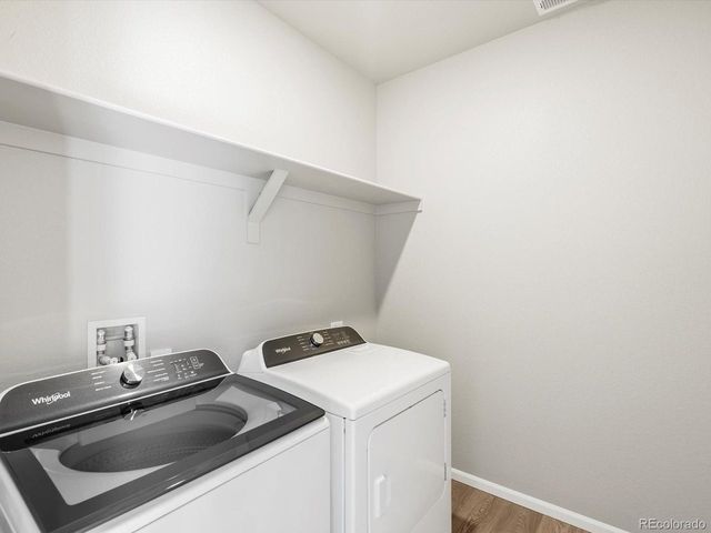 1625 Yampa River Dr, Windsor, CO 80550