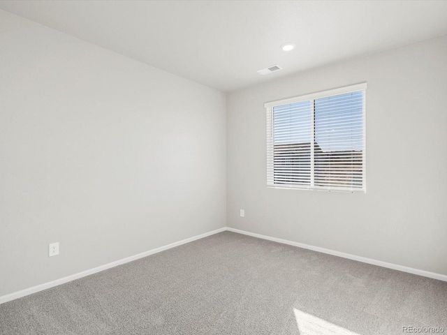 1625 Yampa River Dr, Windsor, CO 80550